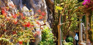 Экзотический сад Княжества Монако (Le Jardin-Exotique de Monaco)